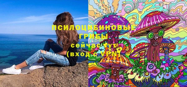 спиды Арсеньев
