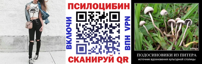 Галлюциногенные грибы GOLDEN TEACHER  omg зеркало  Сухой Лог  купить наркотик 